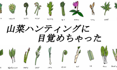山菜初心者アイキャッチ