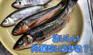 渓流釣りアイキャッチ