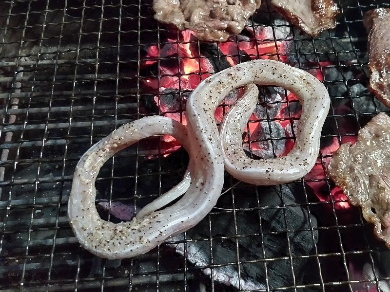 炭火でヤマカガシを焼く