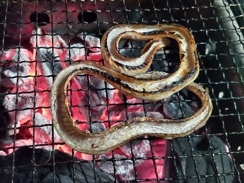 ヤマカガシ焼き完成