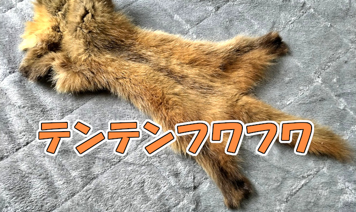 テンのミョウバンなめしアイキャッチ