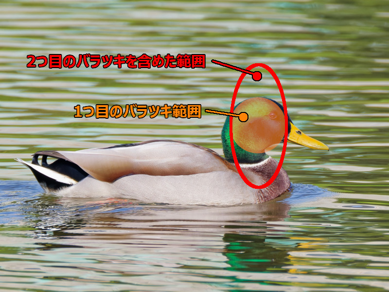 カモを狙う時の考察