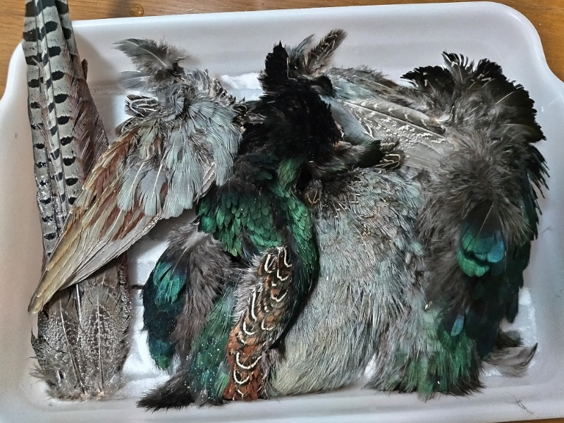 ホウ砂を振りかけて放置